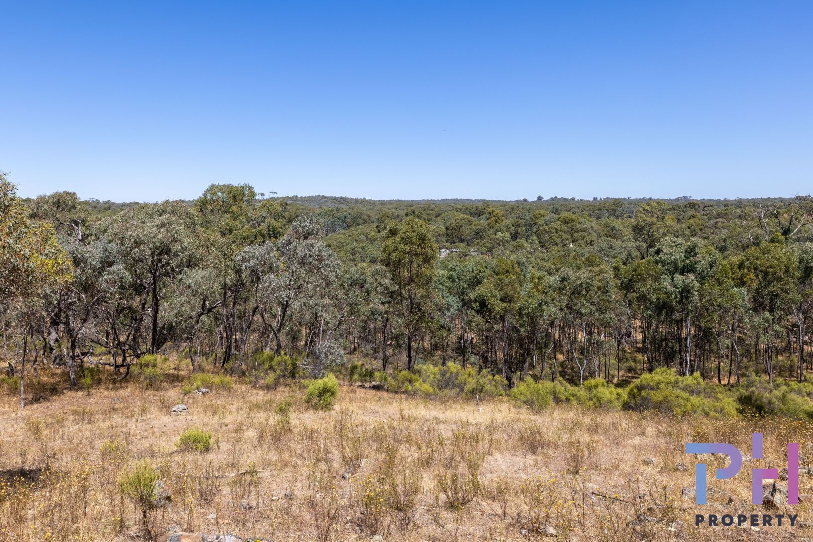 6 Ansen Road, Eppalock VIC 3551 Vacant Land for Sale Domain