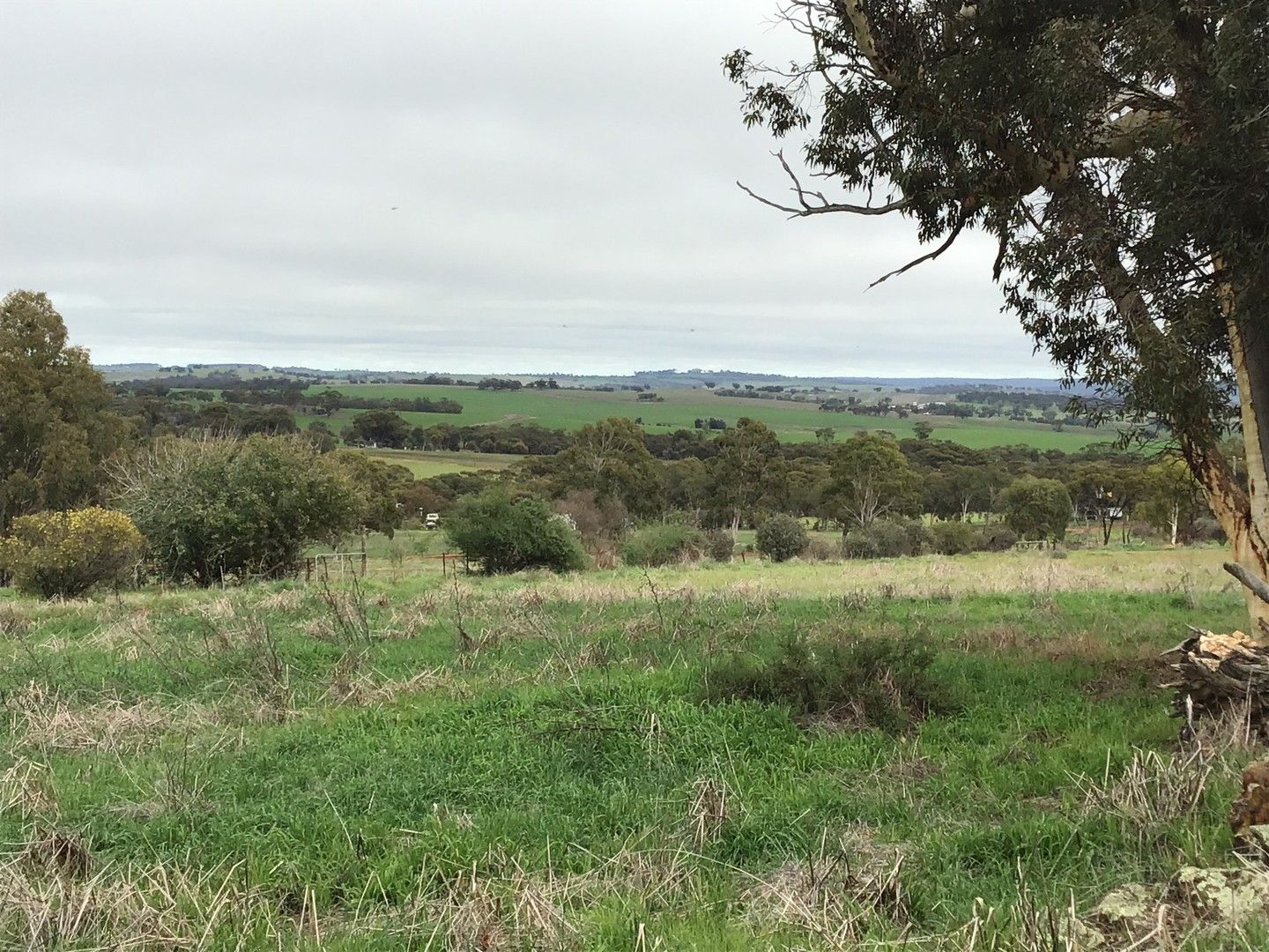 Lot Lot 43 Lucas Court, Bejoording WA 6566, Image 0