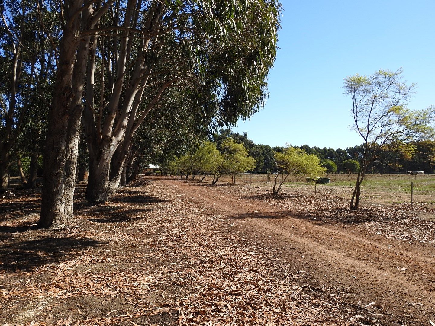 55 Carpenter Road, Wilyabrup WA 6280, Image 1