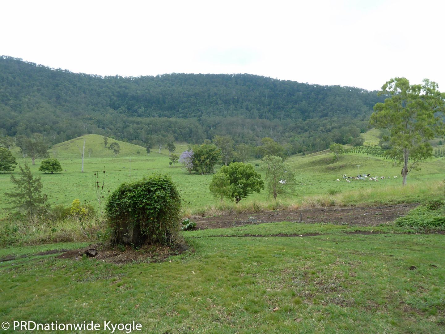 1270 Collins Creek Road, Collins Creek NSW 2474, Image 2