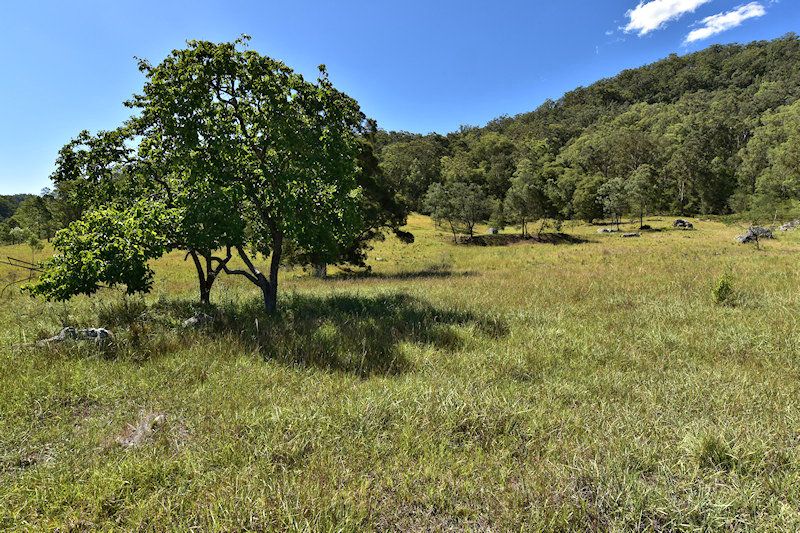 Lot 27 Broke Rd, Paynes Crossing NSW 2325, Image 1