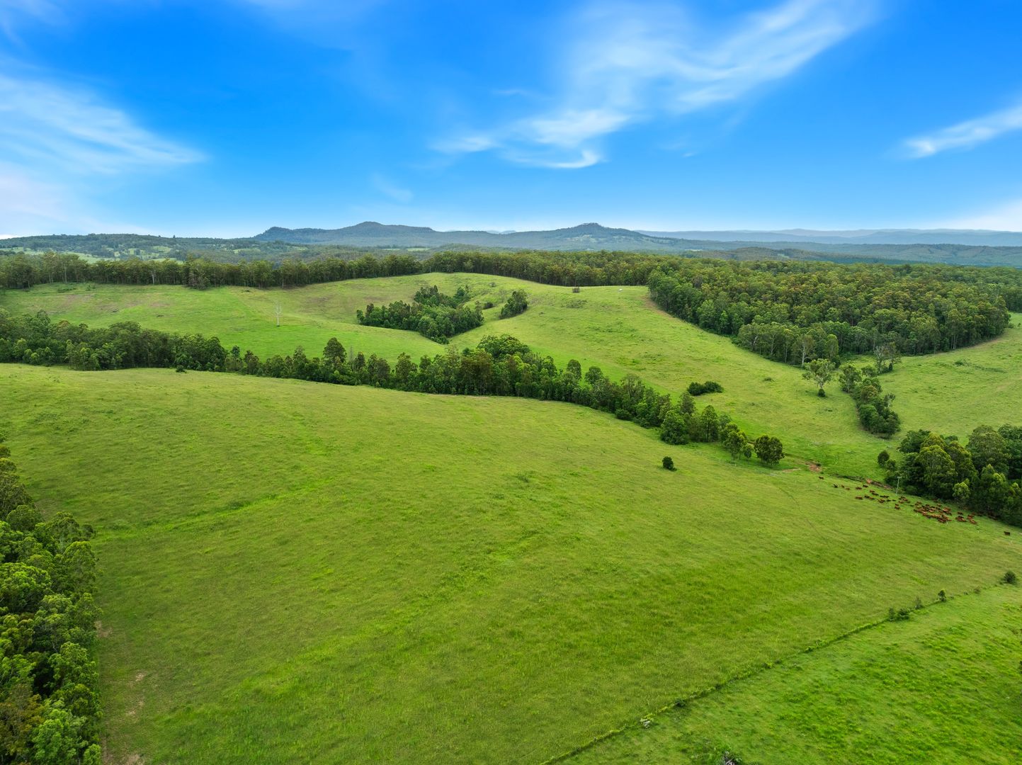 140 Deep Creek Road, Mallanganee NSW 2469, Image 2