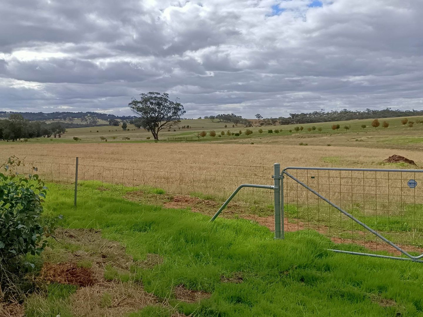 Lot 62 Osborn Road, Mount Hardey WA 6302, Image 1