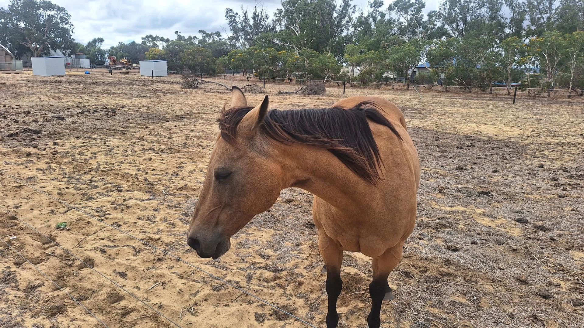 Additional image 23 of 1222 Namban West Road, Namban WA 6512