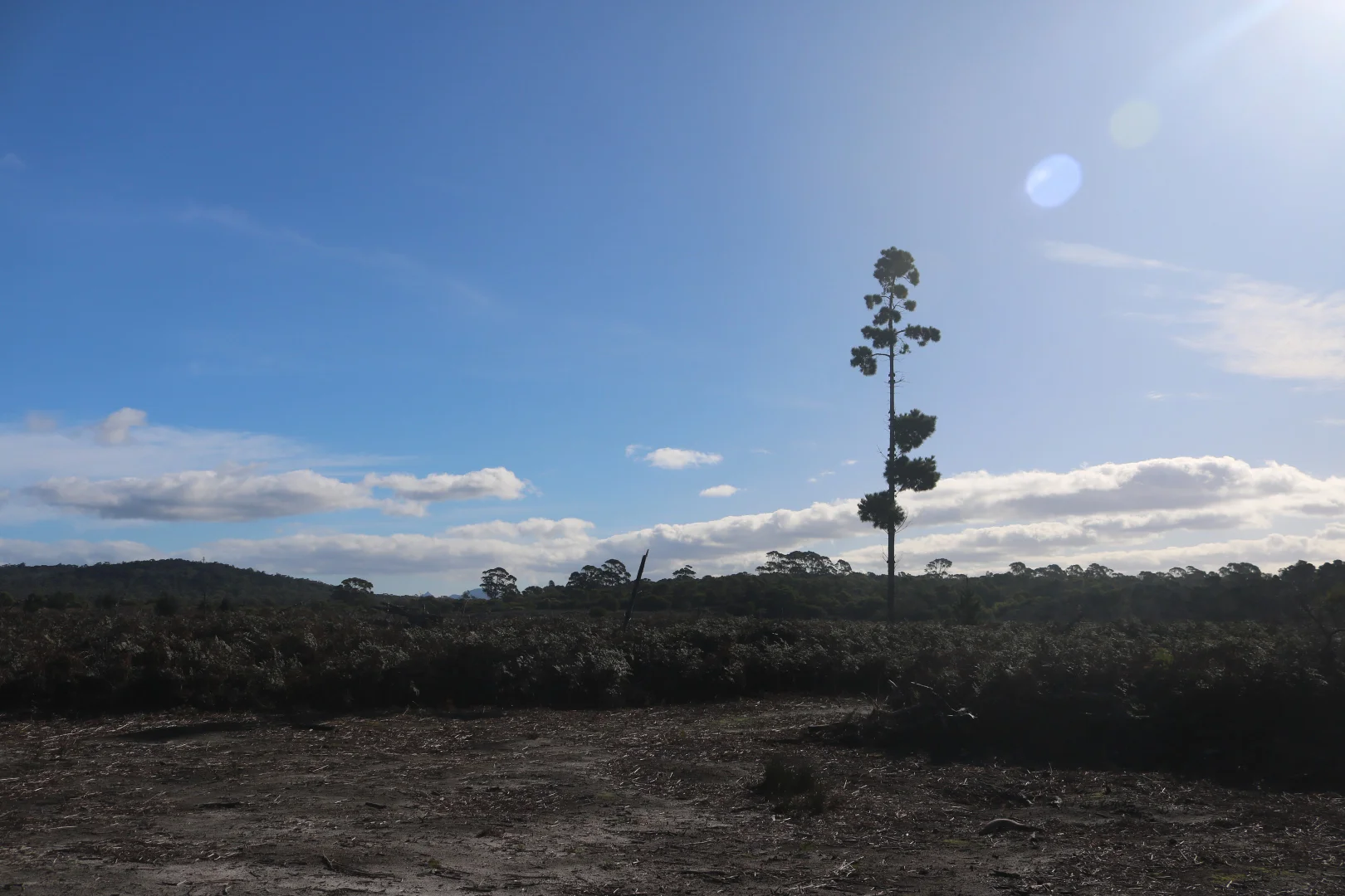 Image 18