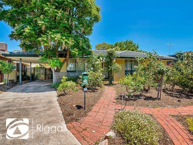 14 Kildare Avenue, Athelstone SA 5076, Image 0