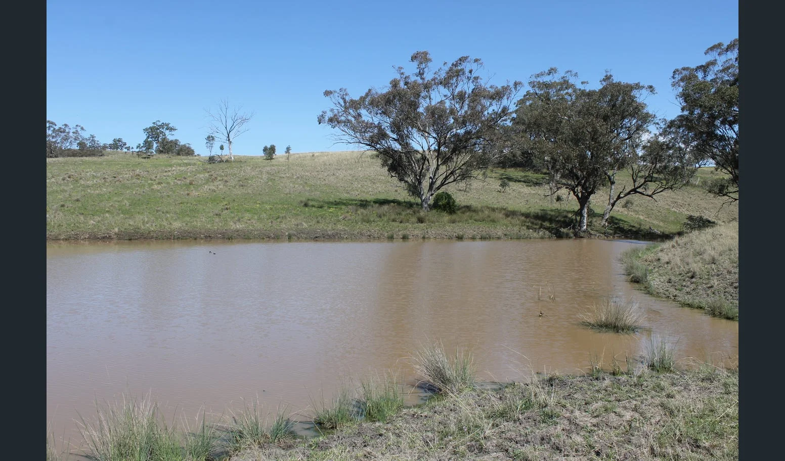 Image 10