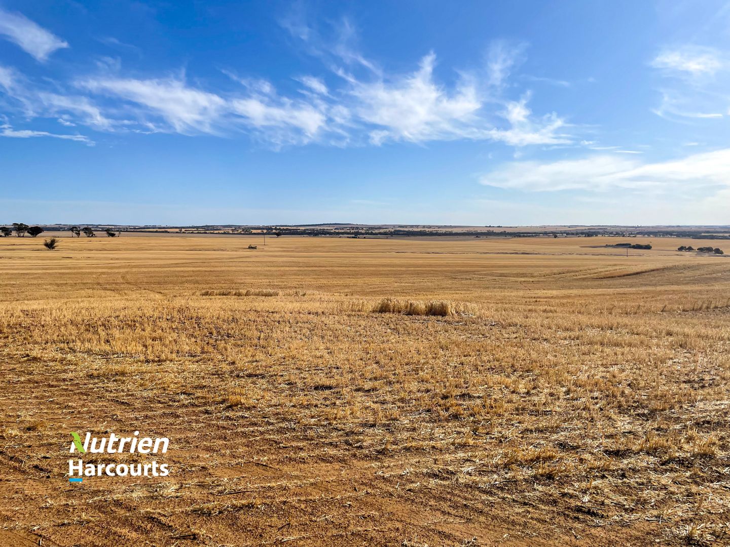 . Selby Farm, Youngs Block & Marrs, Dumbleyung WA 6350 Specialist Farm for Sale