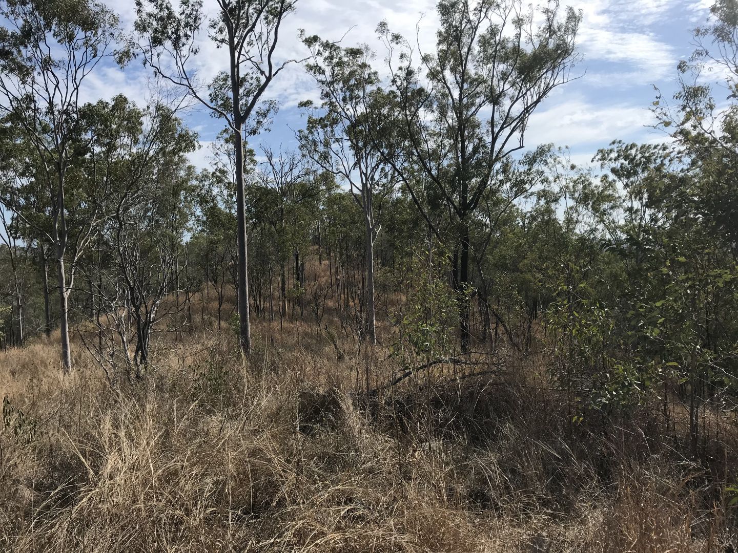 Lot 1 Walters Road, New Moonta QLD 4671, Image 1