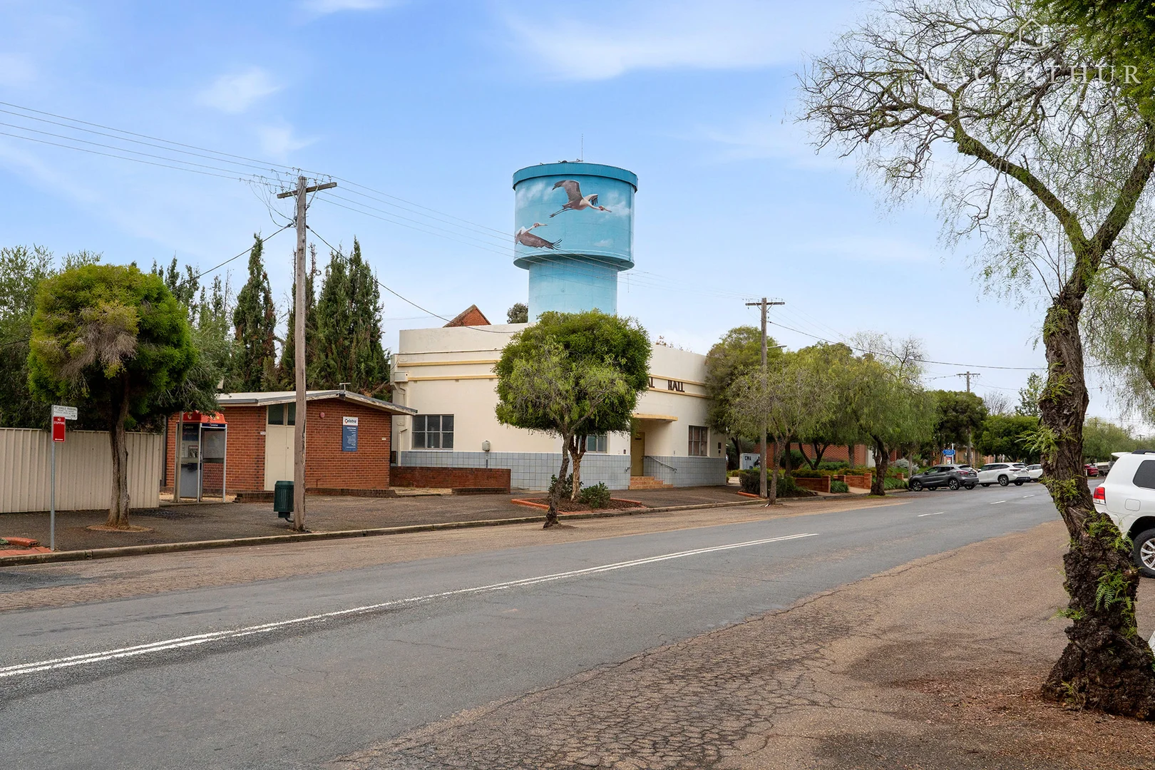 Image 12