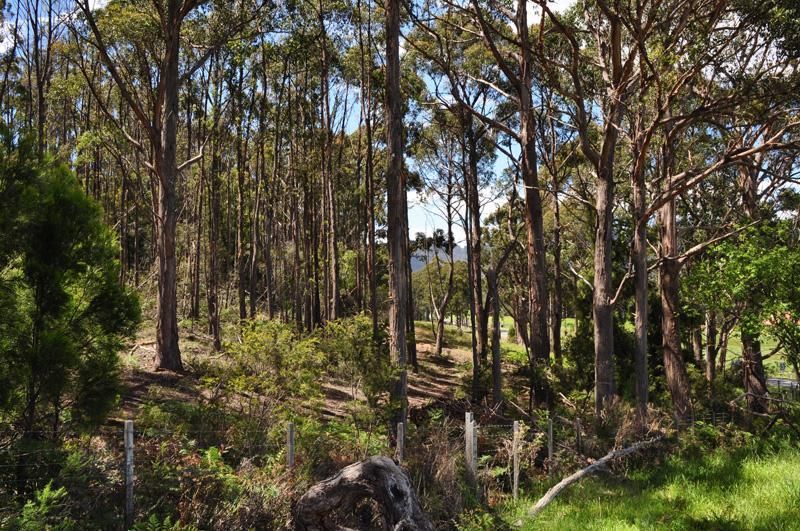 Lot 3/68 North Huon Road, Ranelagh TAS 7109, Image 0