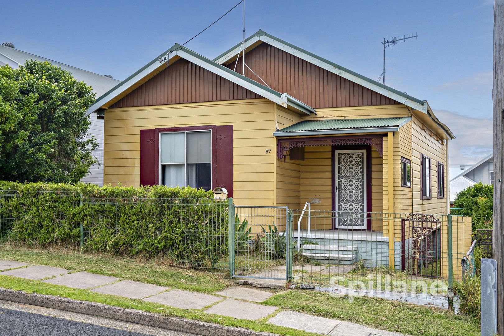 87 Barton Street, Mayfield NSW 2304 House For Rent Domain