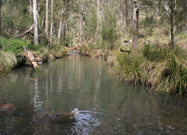 Lot 60 Bakers Road, Mount Colliery QLD 4370