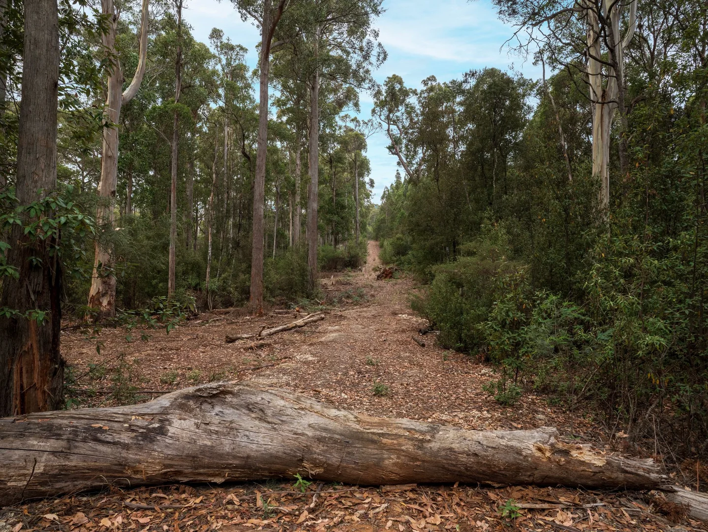 Additional image 15 of 167 Lake Barrington Road, Wilmot TAS 7310