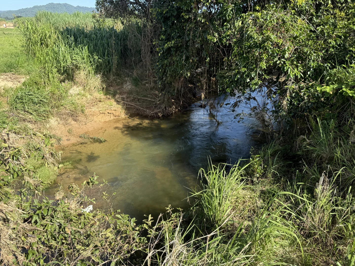 Image 14