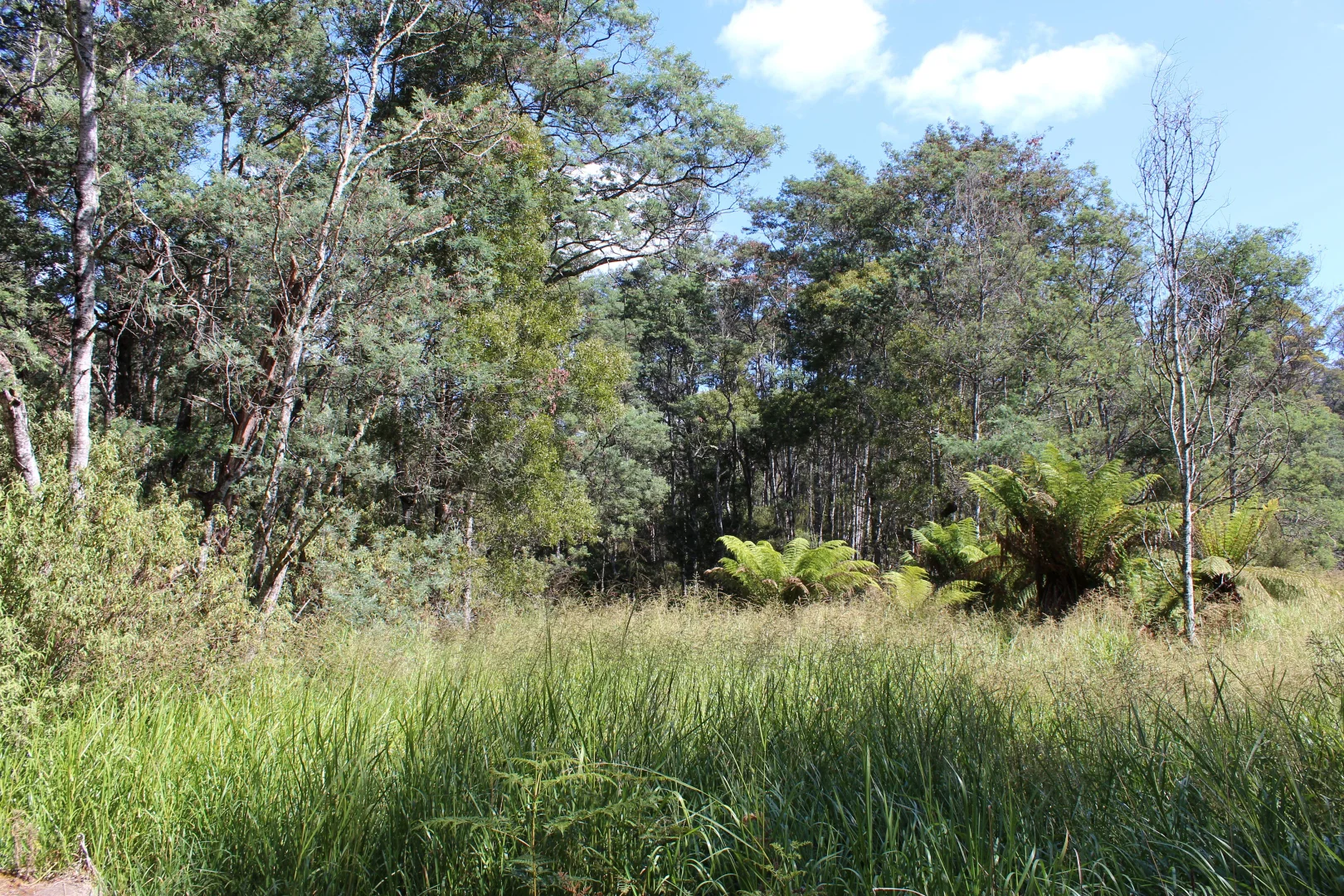 Additional image 11 of 188 Bassetts Road, Calder TAS 7325