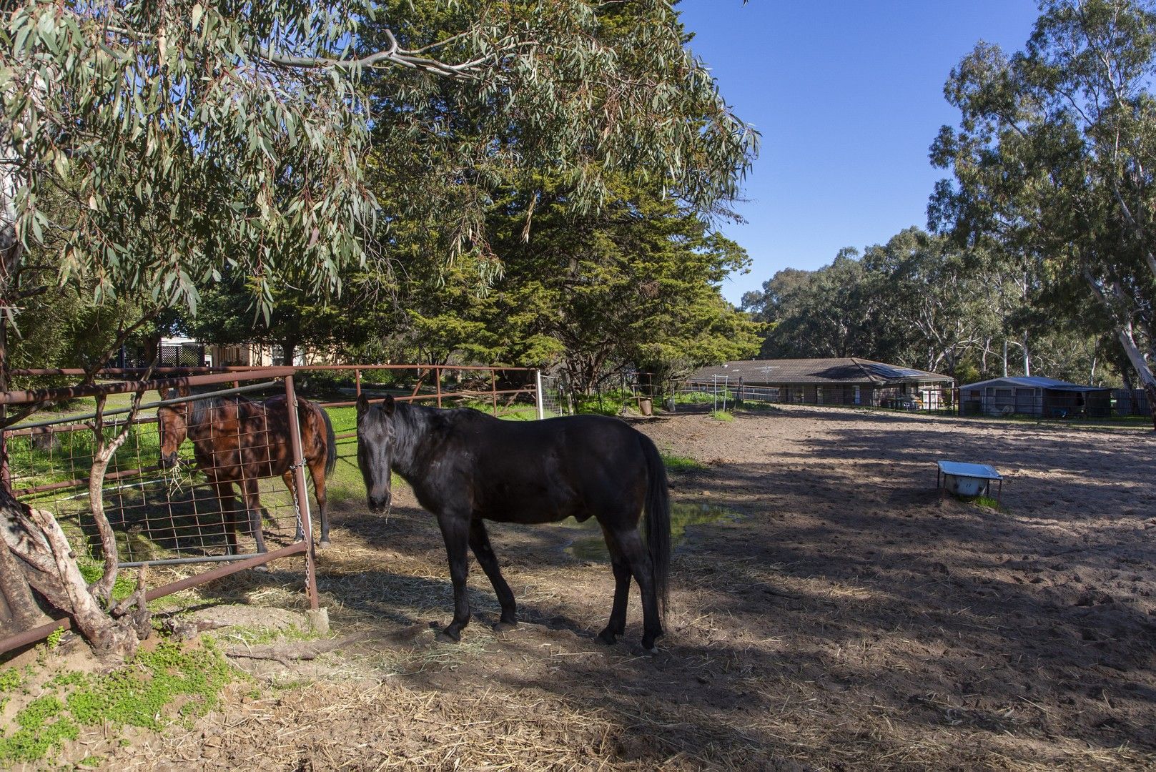 Vacant land in Lot 7/7 Jordan Avenue, HAPPY VALLEY SA, 5159
