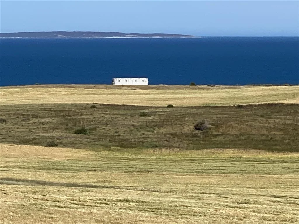 Image 16