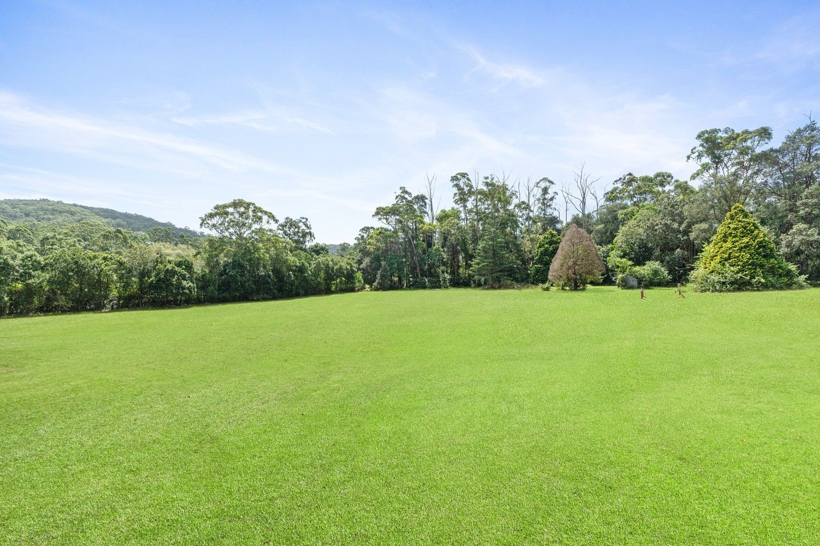 168 Pacific Highway, Ourimbah NSW 2258, Image 0