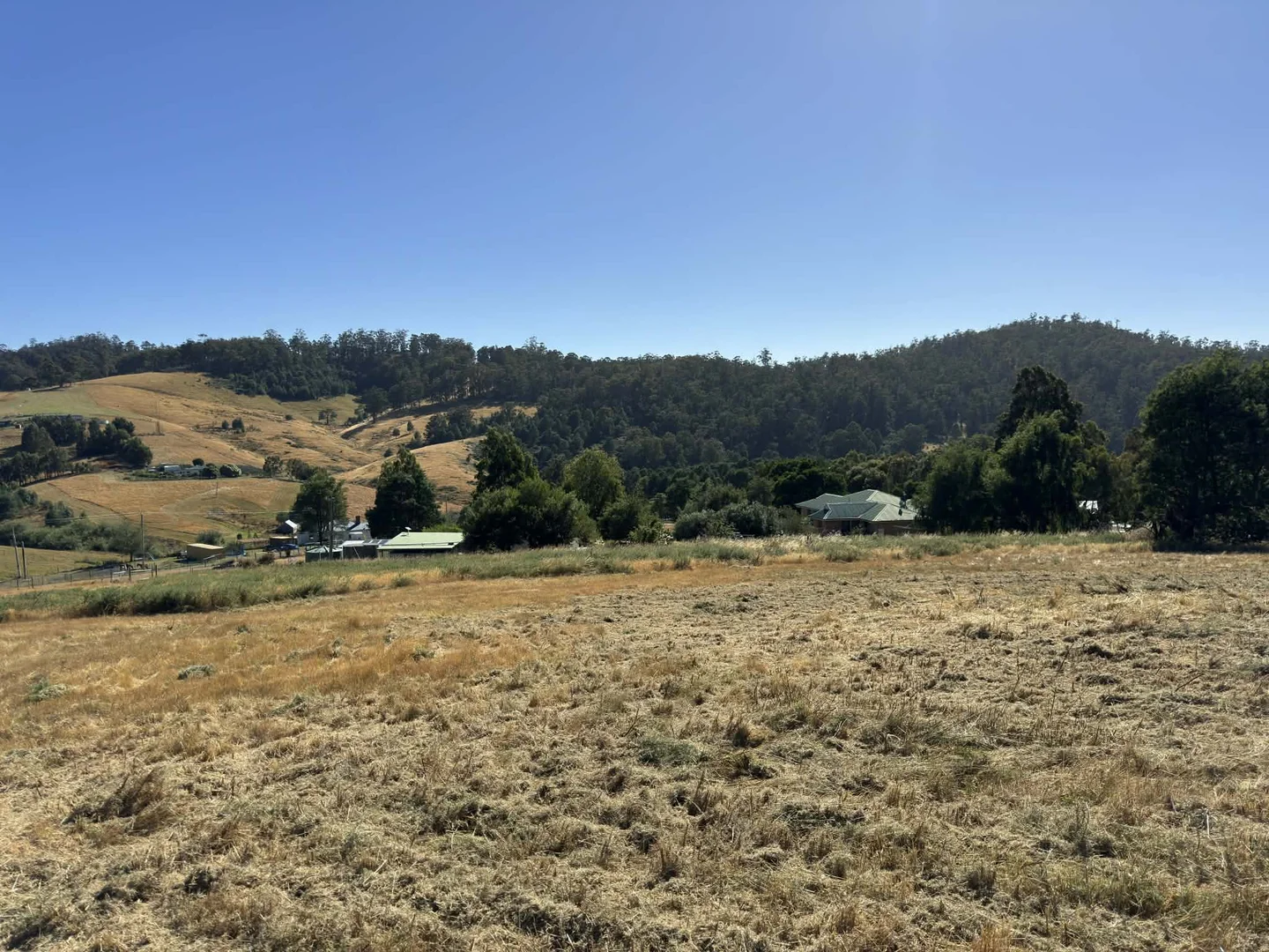 Image 13