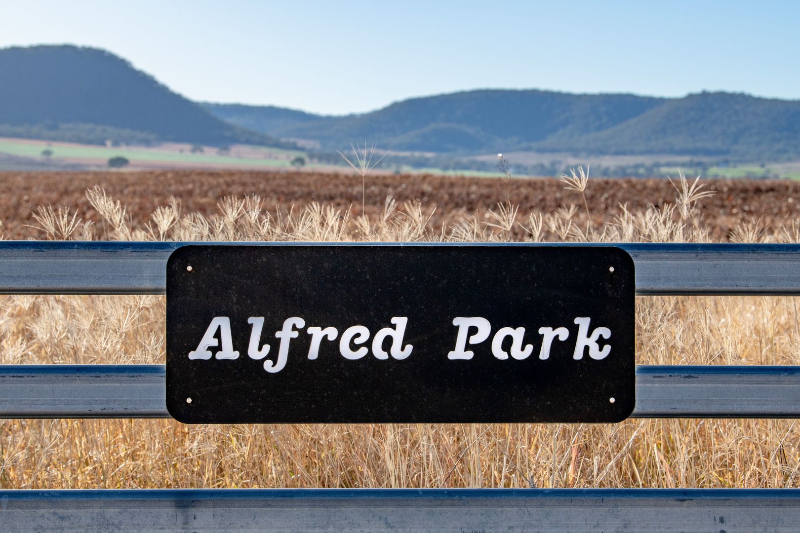 "Alfred Park" 357 Pilton Valley Road, Pilton QLD 4361, Image 1