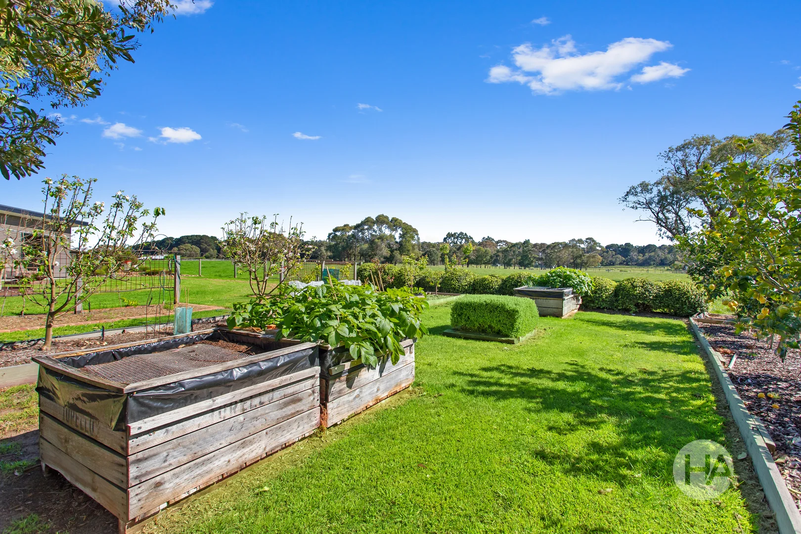 Additional image 7 of 155 Stumpy Gully Road, Balnarring VIC 3926