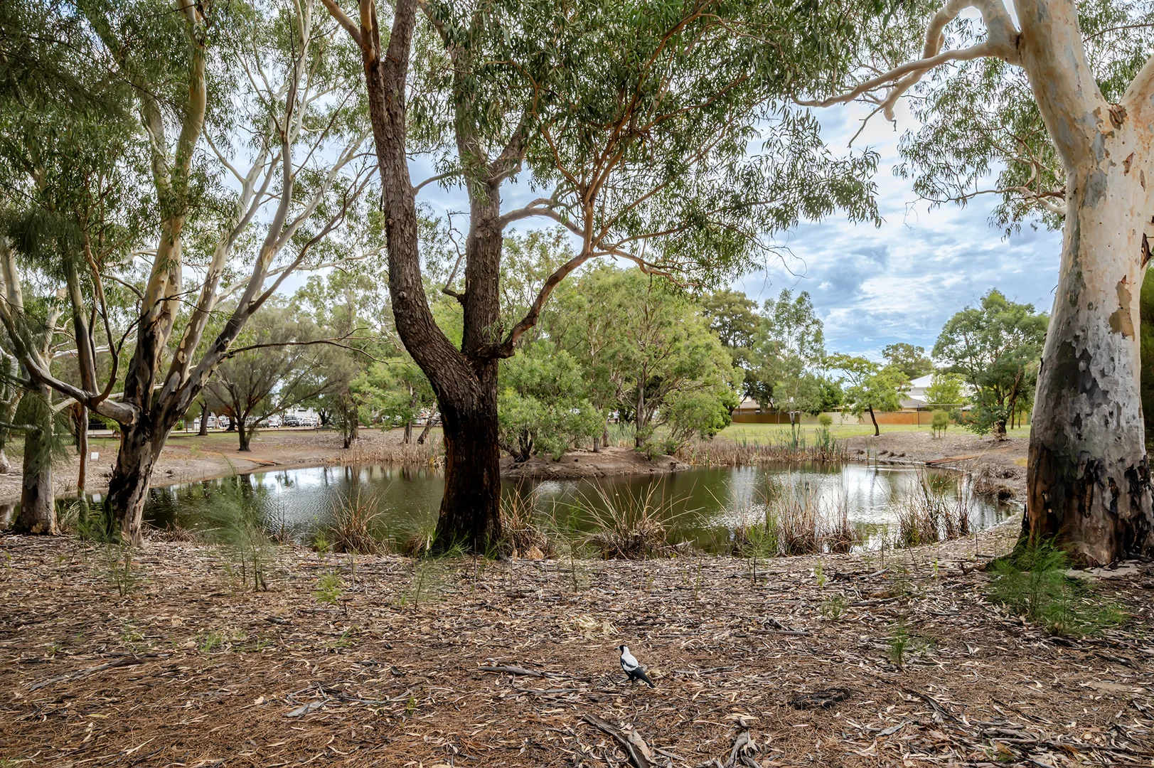 Additional image 28 of 8 McLean Street, Dianella WA 6059