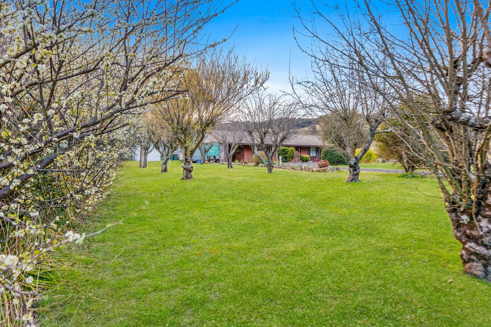 233 Brays Lane, Wallerawang NSW 2845, Image 1