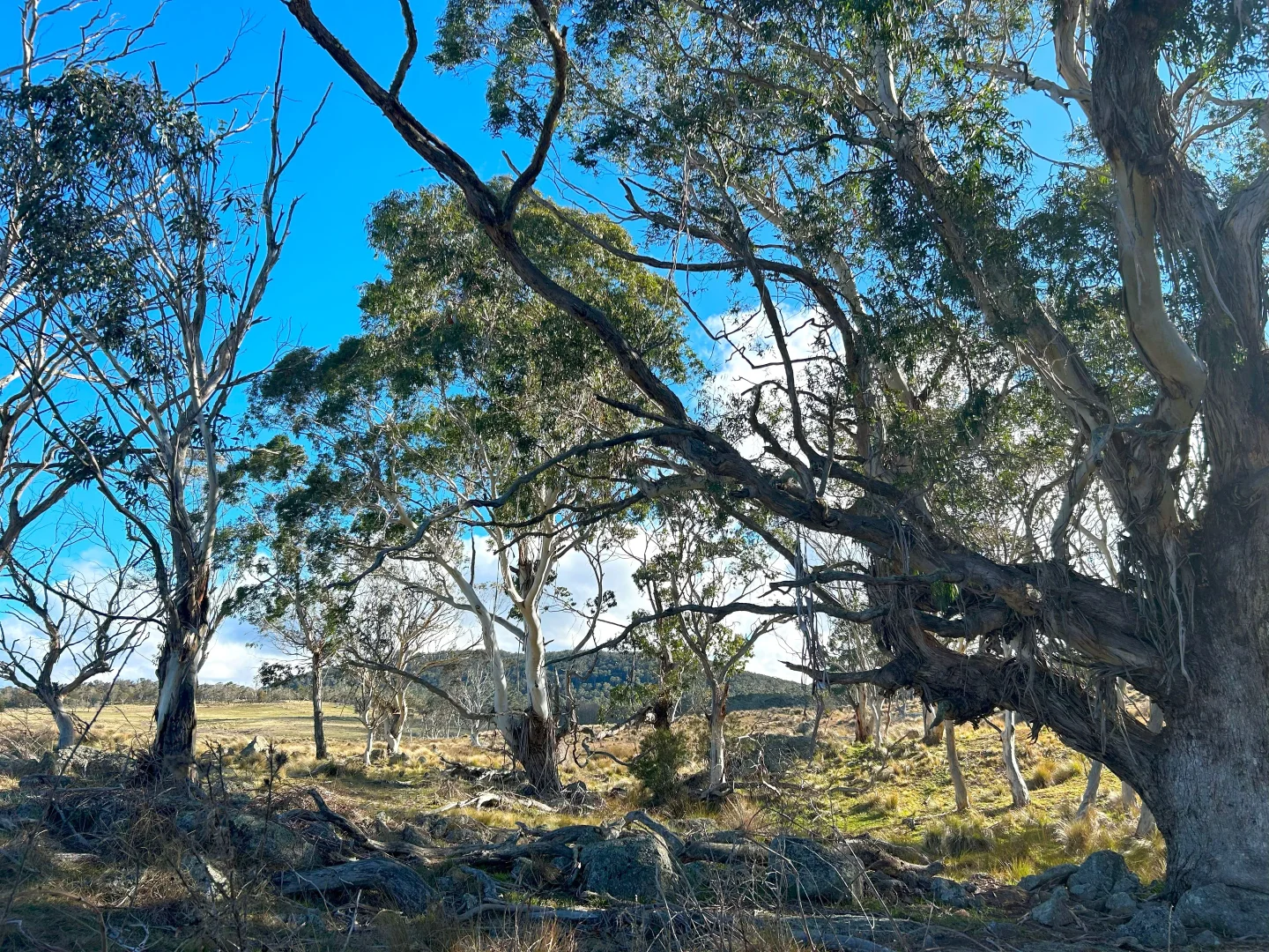 Image 14
