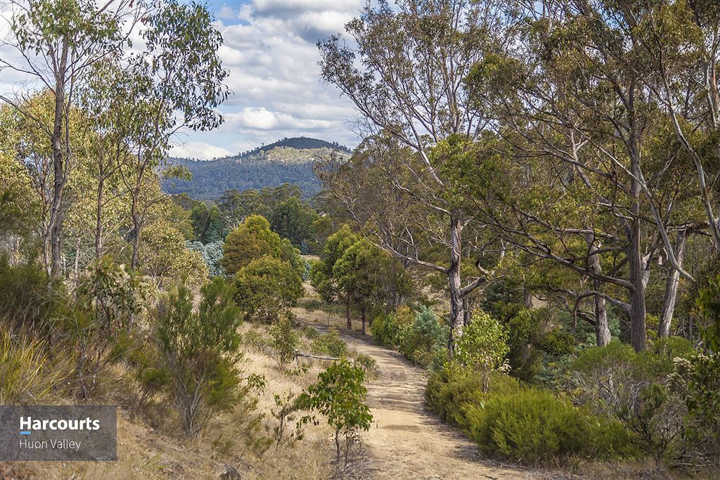 345 Woolleys Road, Lonnavale TAS 7109, Image 2