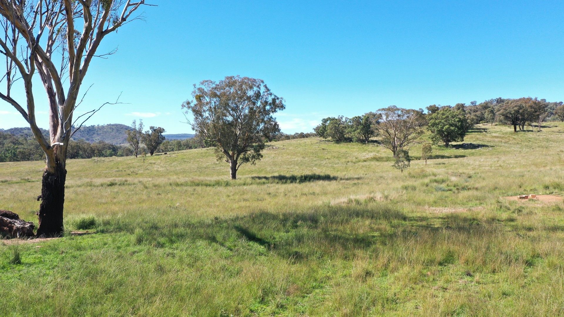 1058 Old Bundarra Road, Barraba NSW 2347, Image 0