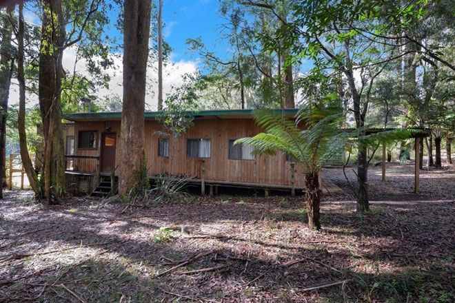 Picture of 243 Big Pats Creek Road, BIG PATS CREEK VIC 3799