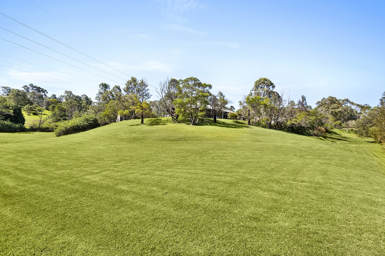 Image 11