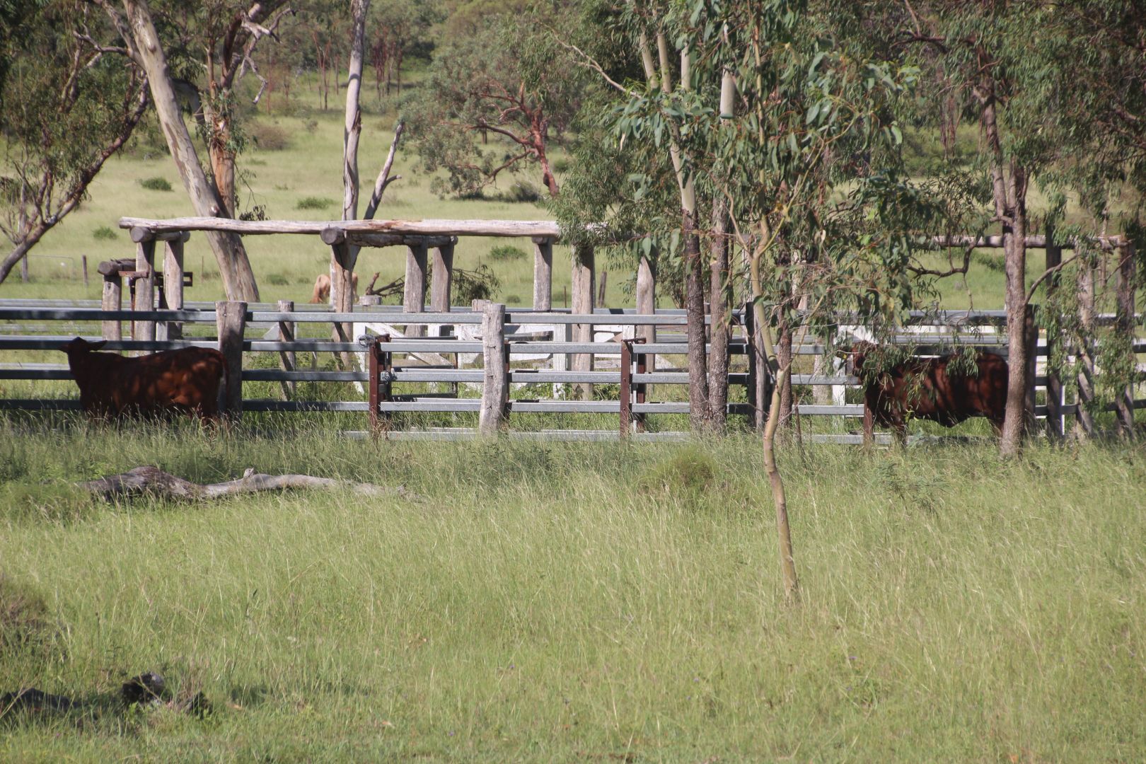 Oakey Creek Rd, Oakey Creek QLD 4714, Image 1