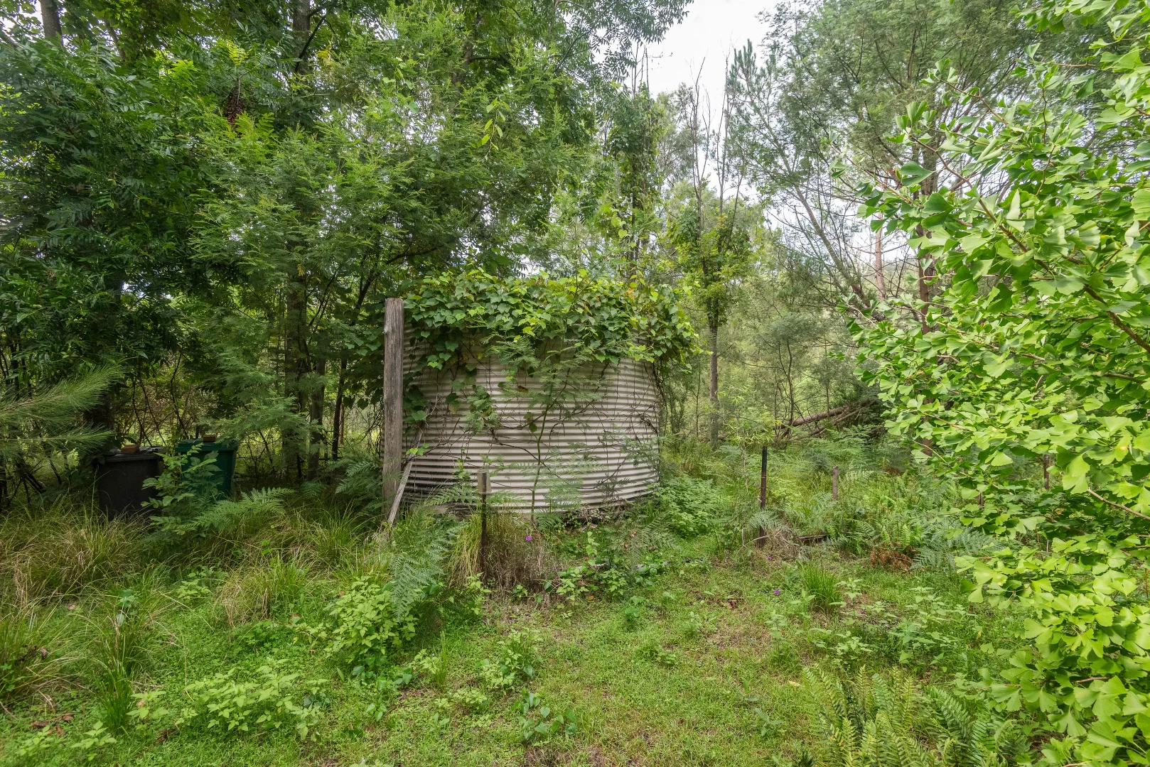 Additional image 9 of 2600 Araluen Road, Deua River Valley NSW 2537