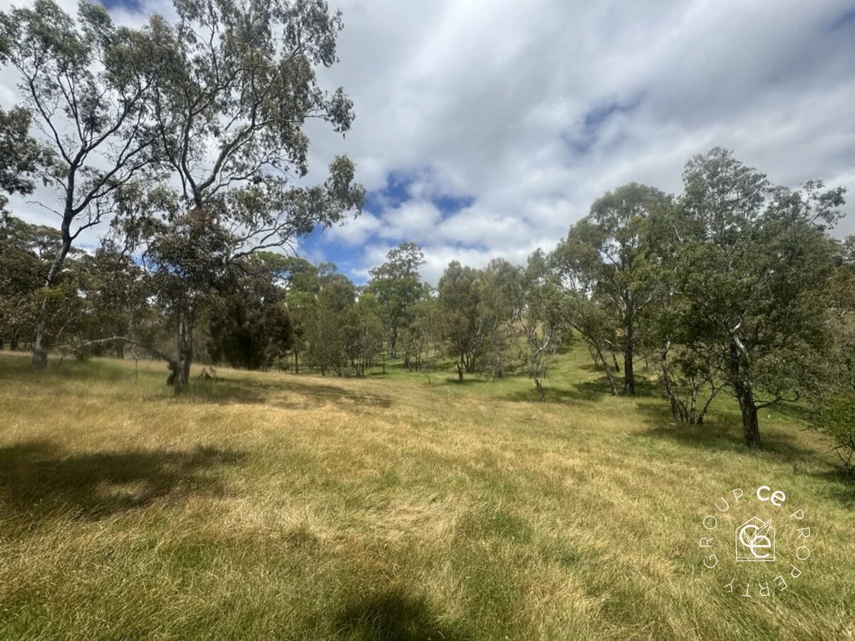 Image 41