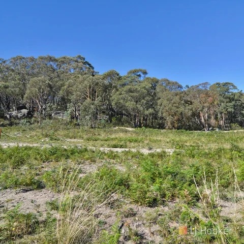 Image 12