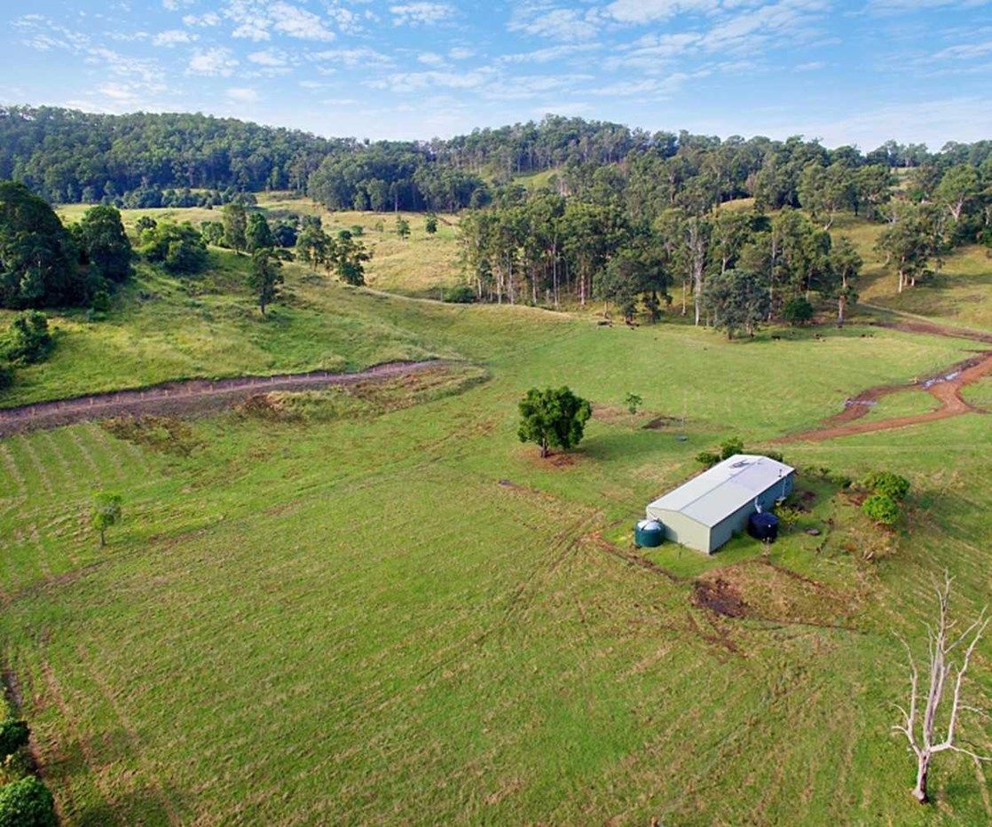 Lot 12 Grimston Road, Theresa Creek NSW 2469, Image 1