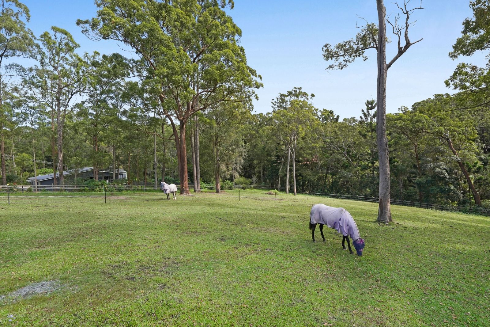 264 Trees Road, Tallebudgera QLD 4228, Image 2