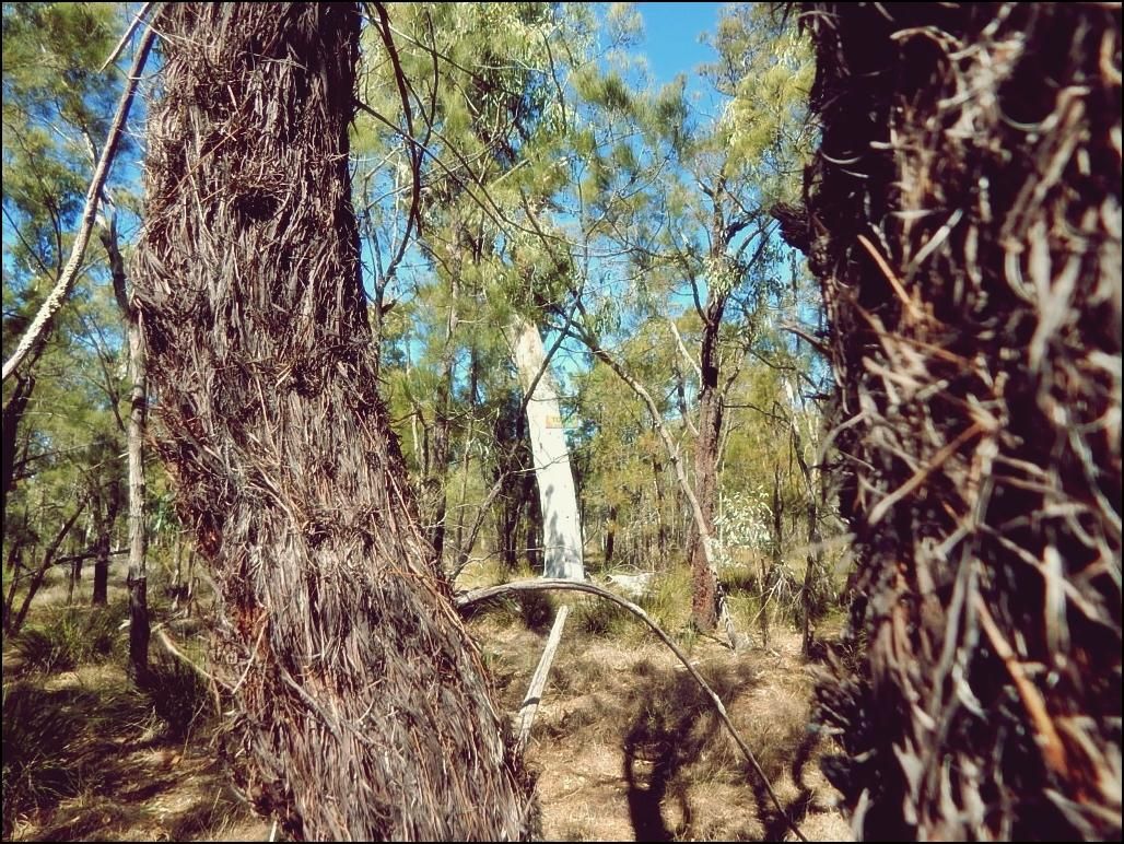 Lot 35 Belar Court, Millmerran Woods QLD 4357 Vacant Land for Sale