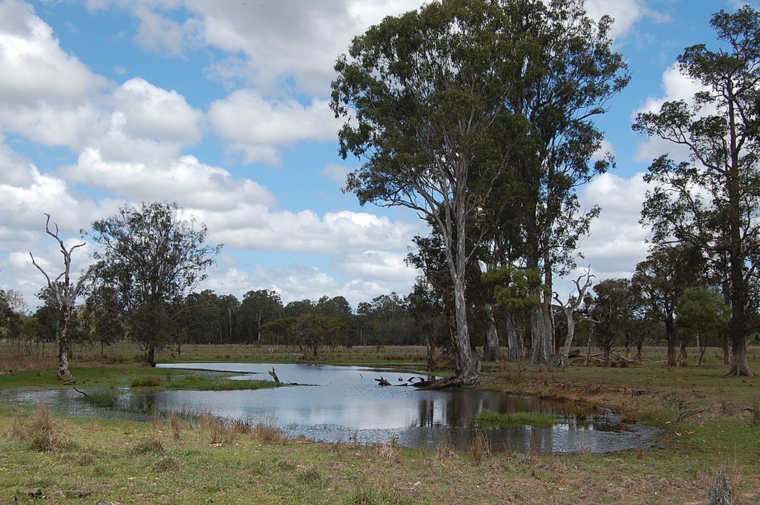 Six Mile, CAMIRA NSW 2469, Image 0