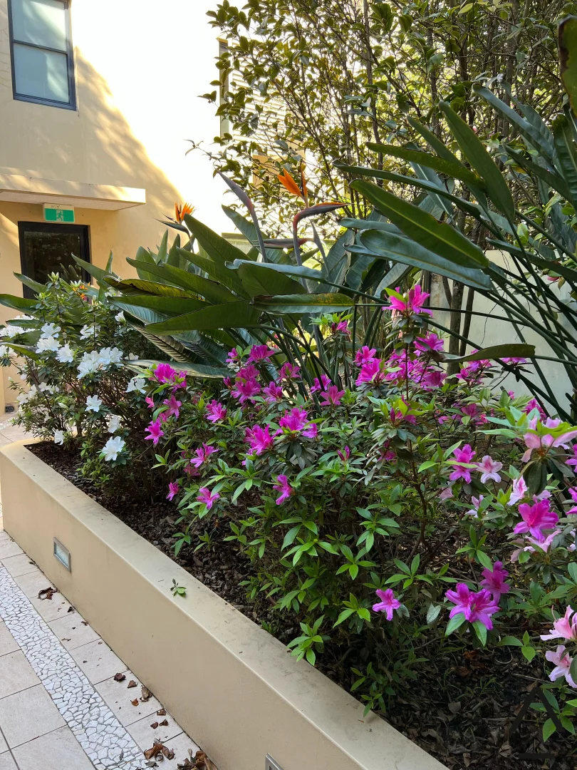 Additional image 11 of 9/314-316 Bronte Road, Waverley NSW 2024