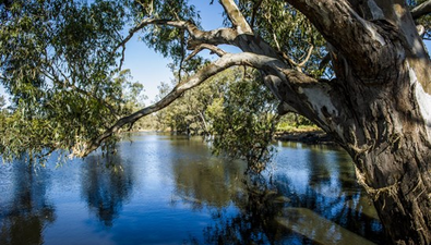 Picture of Condobolin NSW 2877, CONDOBOLIN NSW 2877