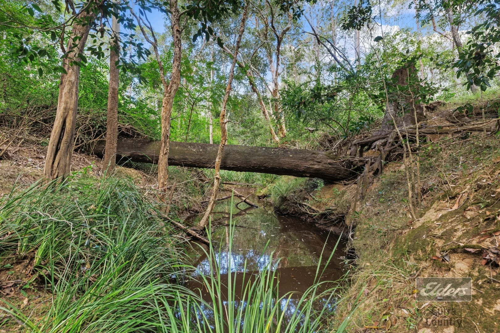 Additional image 19 of 49 Arborfourteen Road, Glenwood QLD 4570