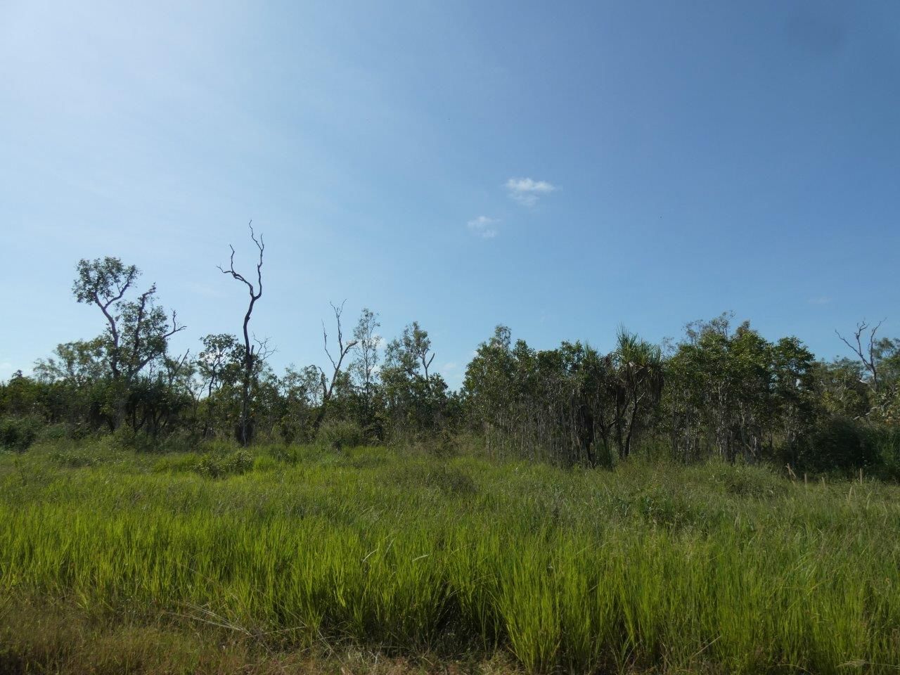 500 Heathers Lagoon Road, Lake Bennett NT 0822, Image 2