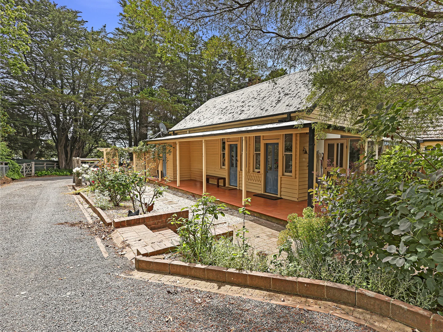 Image 11