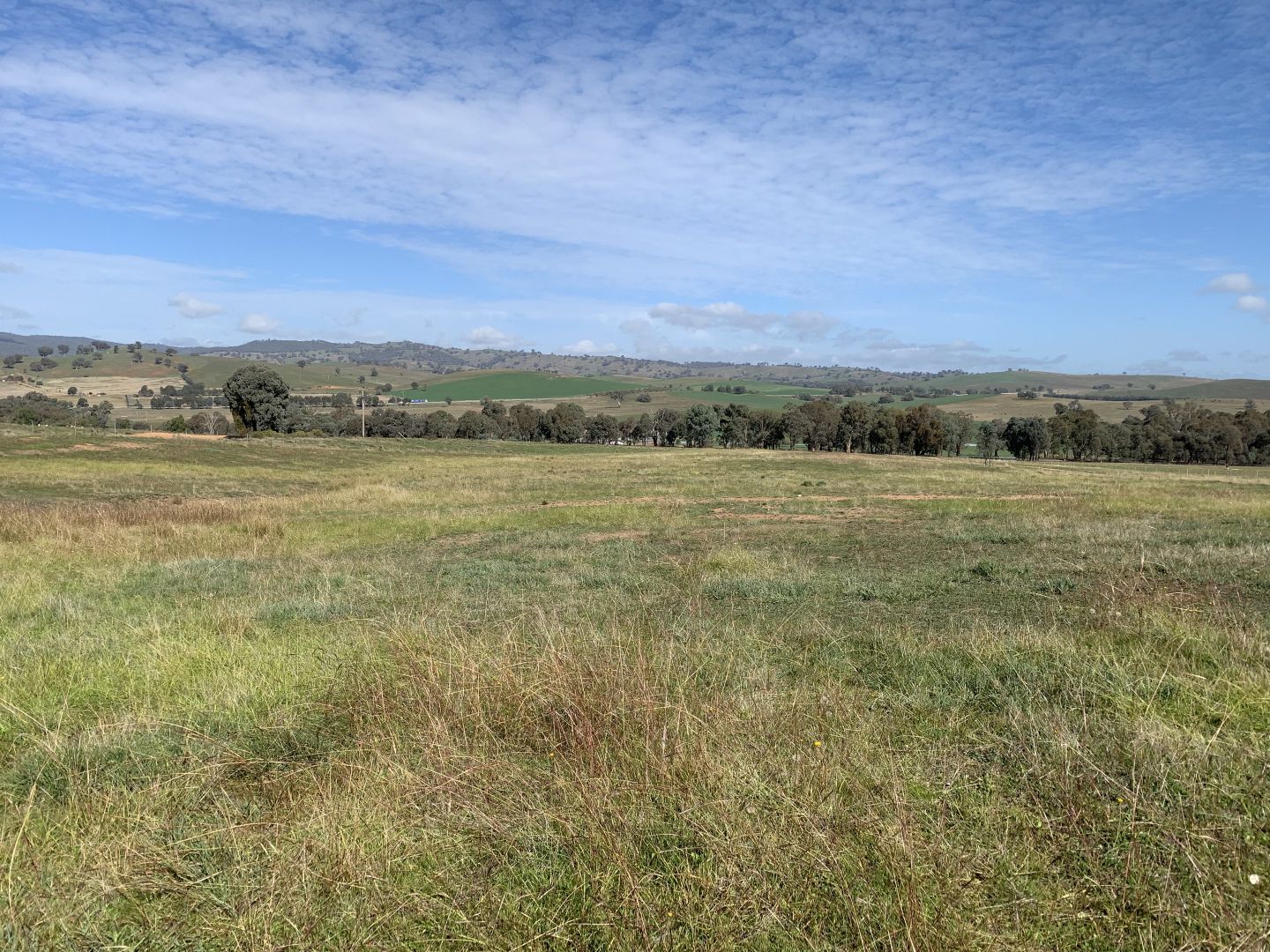 Lot 6 Old Hume Highway (Mundarlo Rd) Tumblong, Gundagai NSW 2722, Image 1