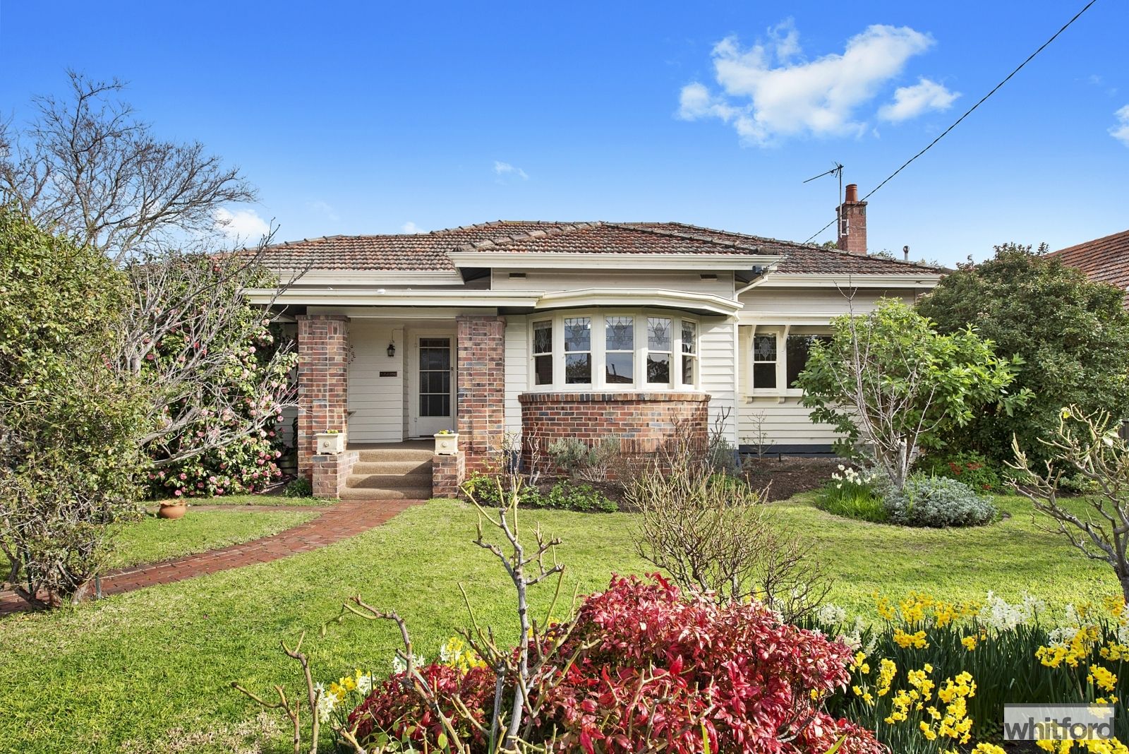13 Strachan Avenue, Manifold Heights VIC 3218, Image 0