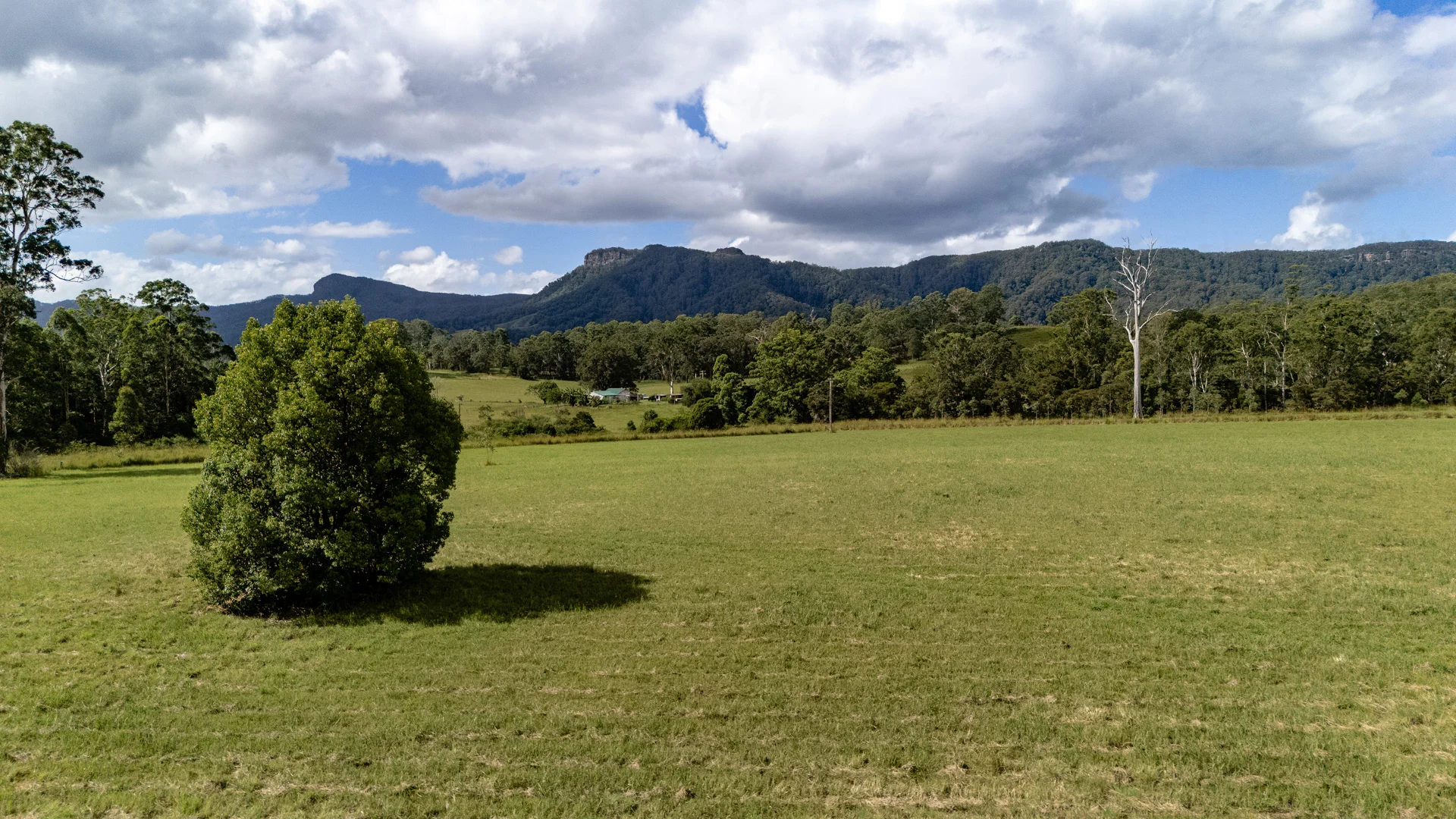 Additional image 10 of 778 Central Lansdowne Road, Upper Lansdowne NSW 2430