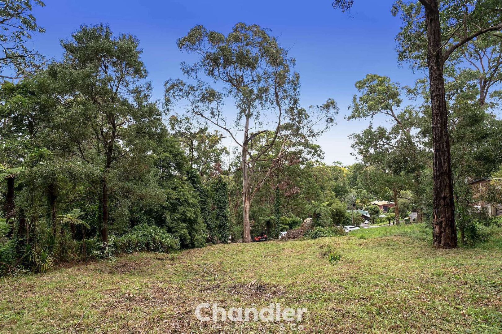 15 Belbrook Road, Upwey VIC 3158, Image 1